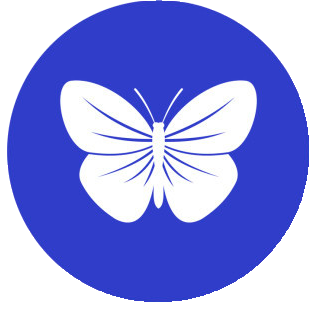 博客文章提取